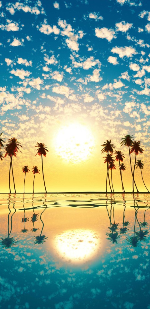 Palm Tree Background HD Donwload