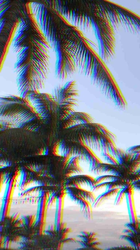 Palm Tree Background Wallpaper Pic HD Donwload