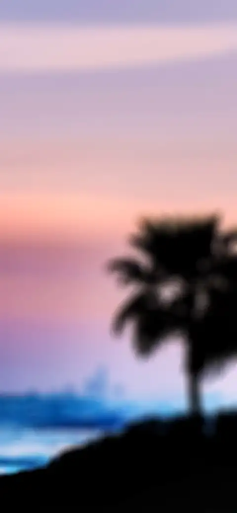 Palm Tree CB Picsart Editing Background HD Donwload