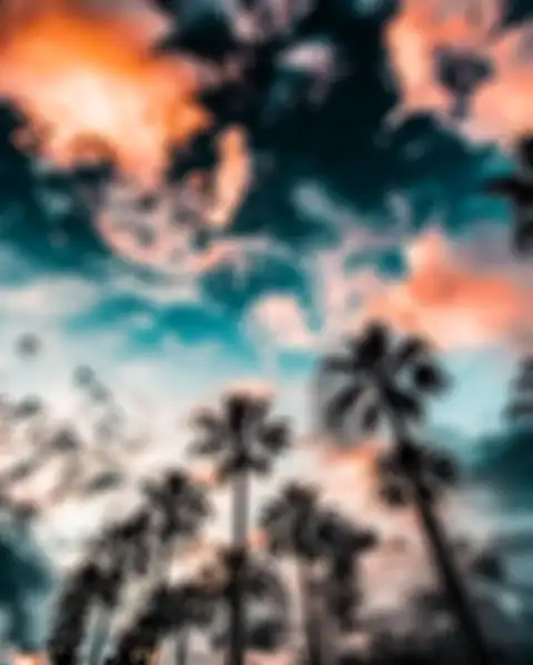 Palm Tree With Sky Wallpaper Background HD Donwload