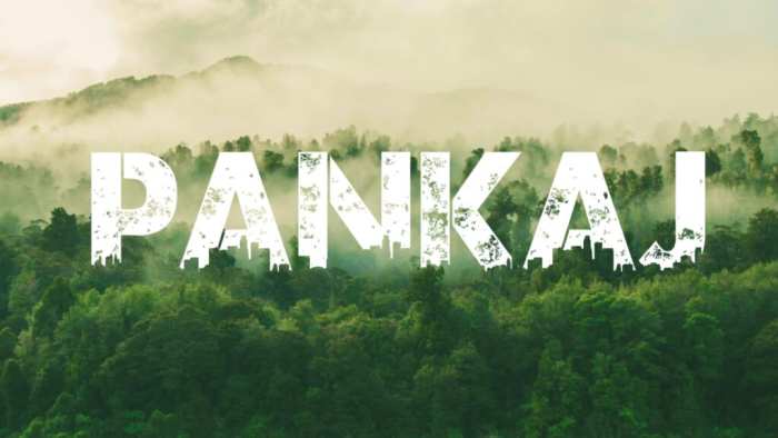 Pankaj Urban Jungle Picture Fre Stock Photos Free HD Images