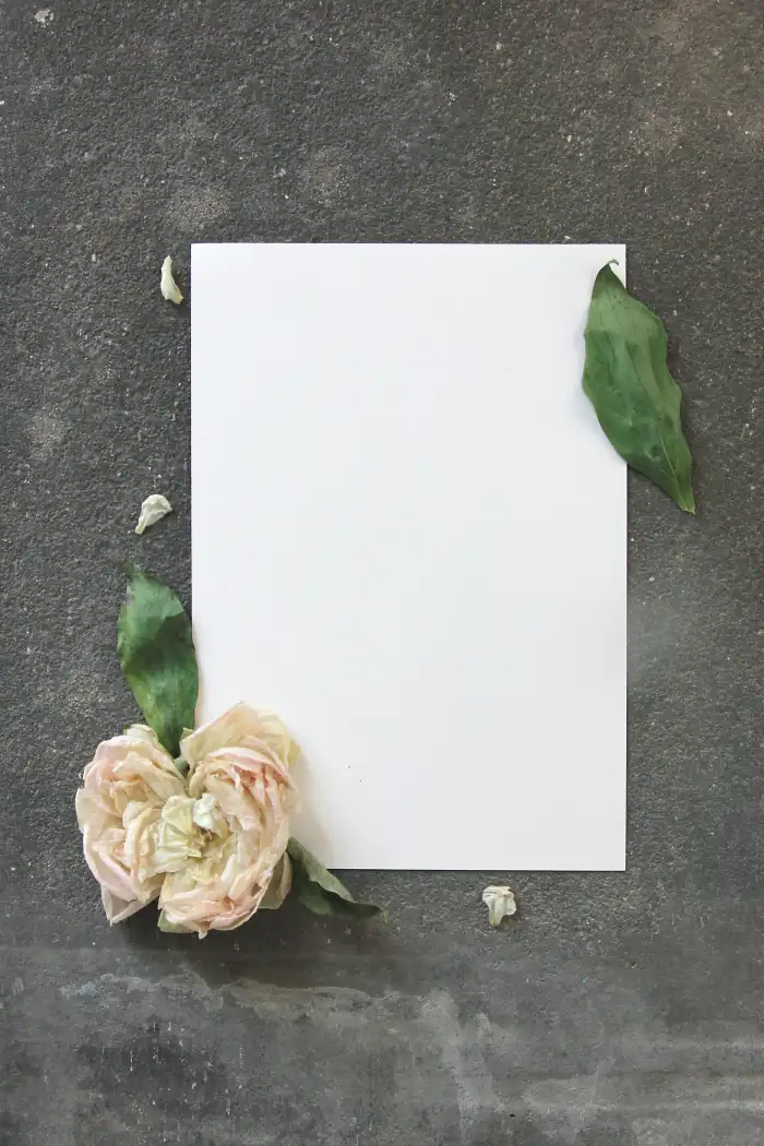 Paper Notebook With Flower Background HD Images