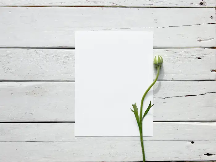 Paper Notebook With Flower Background HD Images