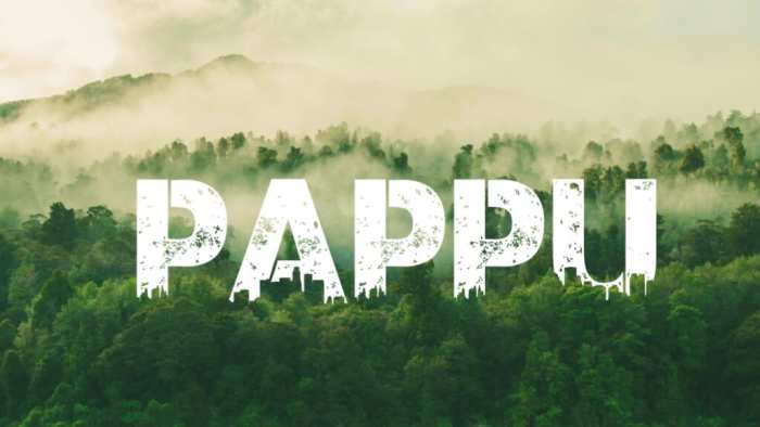 Pappu Urban Jungle Background Pictures Free HD Images