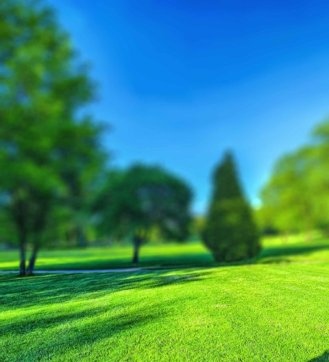 Park CB Photoshop Editing Background HD Download