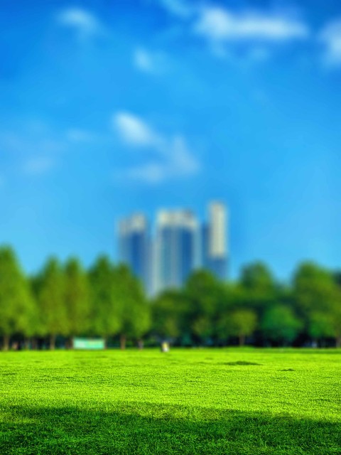 Park Field CB Picsart Editing Background HD Download