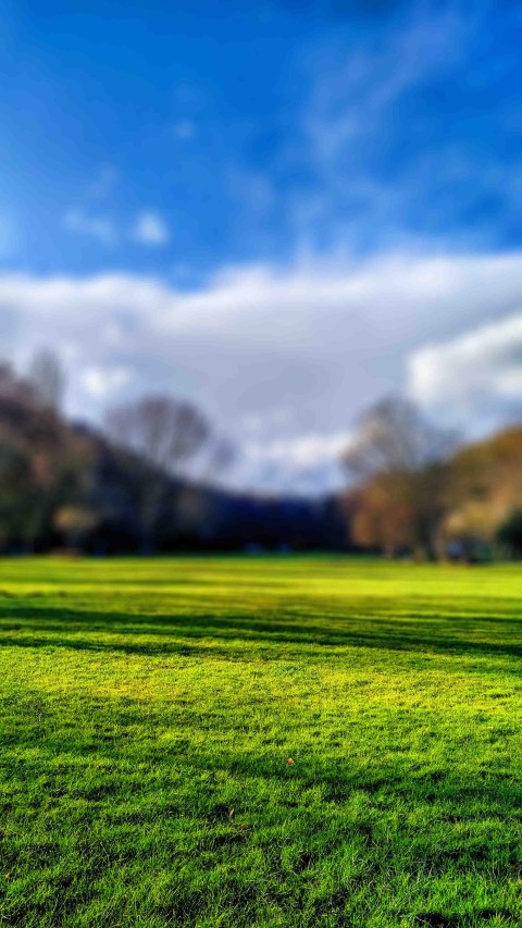 Park Grass Field  Picsart Editing Background HD Download