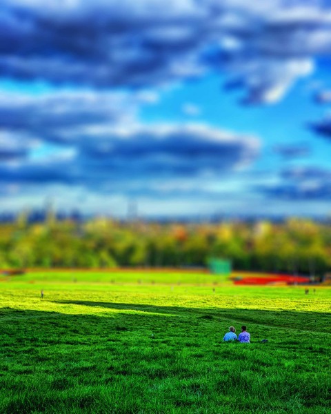 Park Grass Field  Picsart Editing Background HD Download