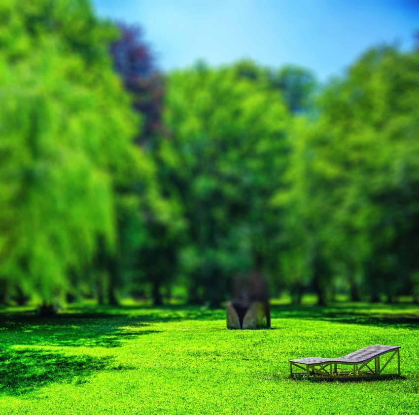 Park Green tree CB Picsart Editing Background HD Download