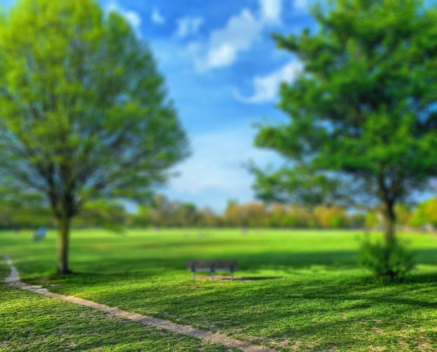 Park Photoshop Editing Background Full  HD Download