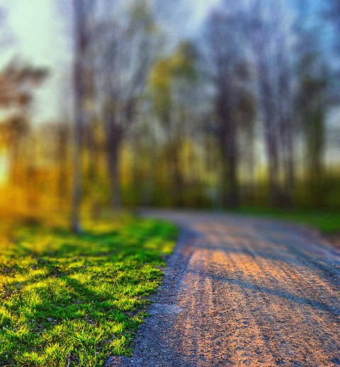 Park Road Blur CB Picsart Editing Background HD Download