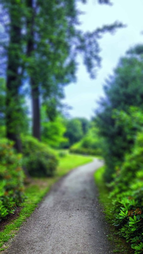 Park Road Blur Picsart Editing Background HD Download