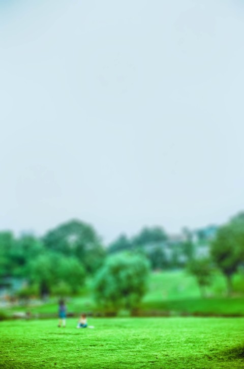 Park Tree Blur CB Picsart Editing Background HD Download