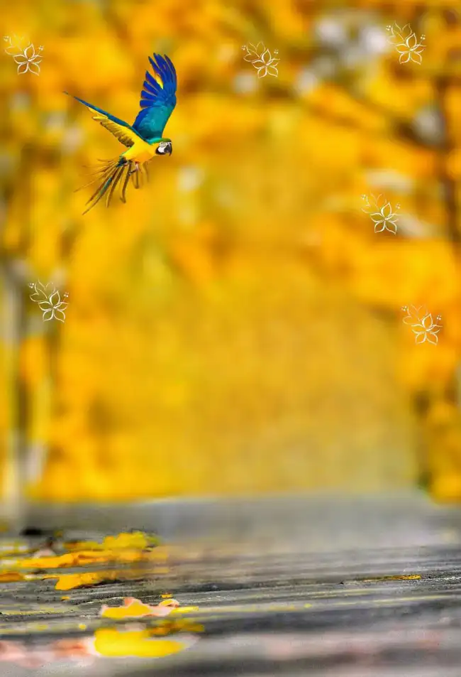 Parrot Yellow CB Background HD Download