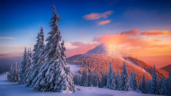 Pastel Sky Mountain Winter Forest Background HD Wallpapers