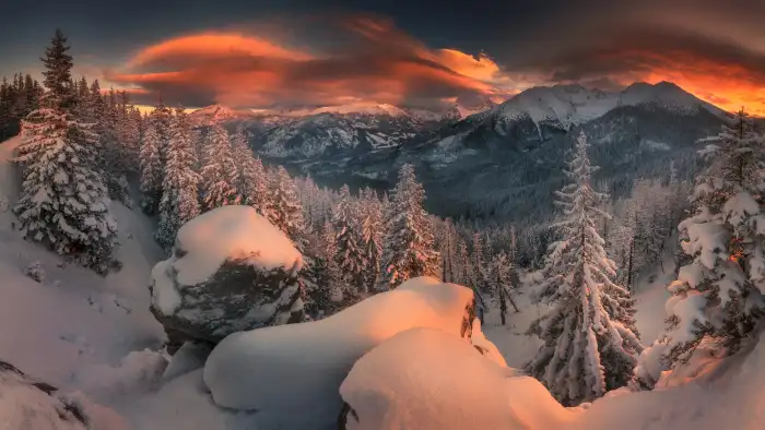 Pastel Sky Mountain Winter Forest Background HD Wallpapers