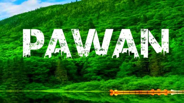 Pawan Urban Jungle Background Free HD Images