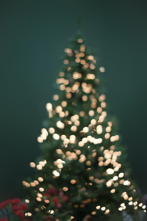 Phone Green Merry Christmas HD Background Wallpaper Image