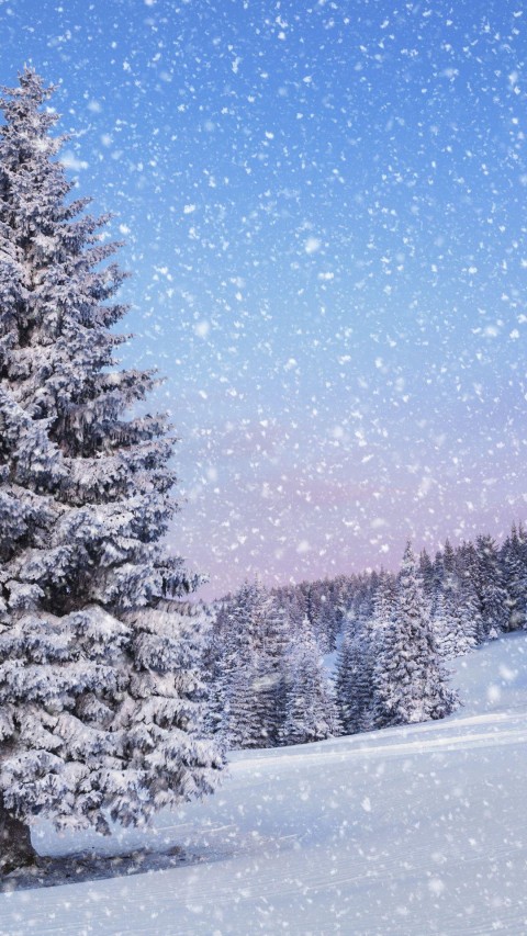 Phone Winter Tree Background HD Download