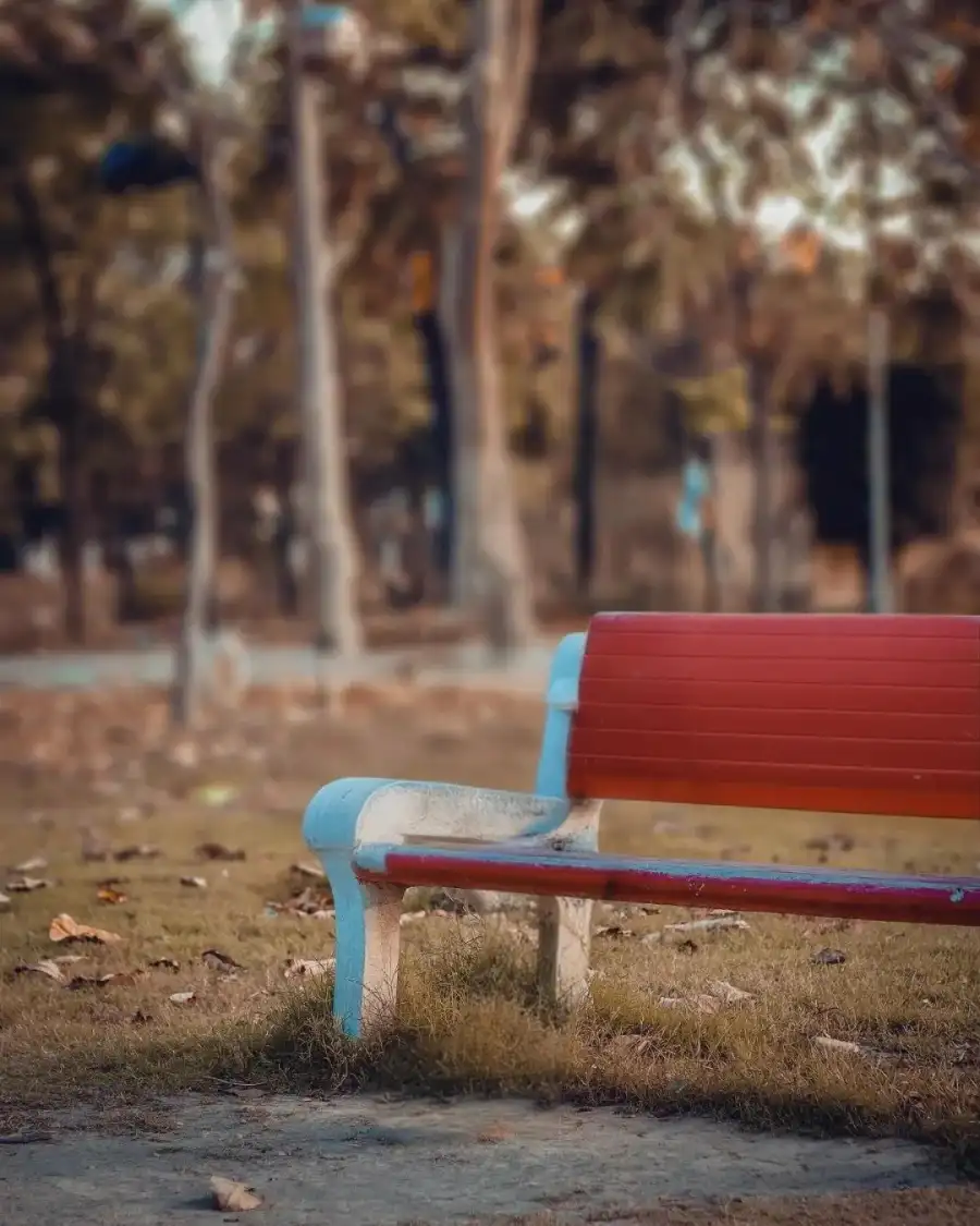 Photo Editing Bench In A Park  Background HD