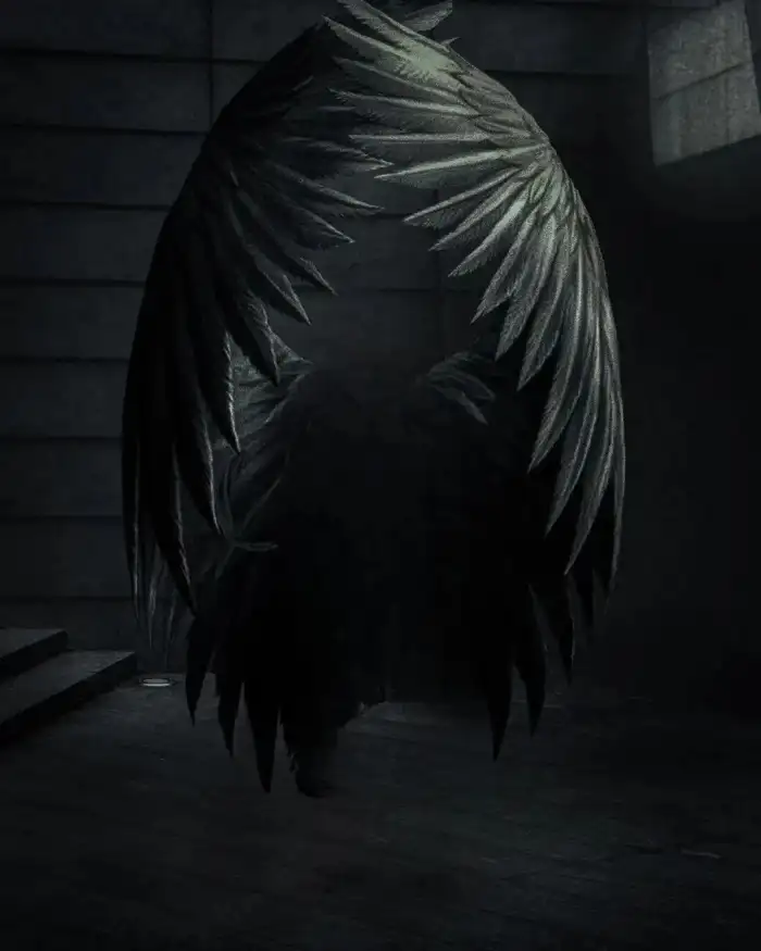 Photo Editing Black Devil Wings CB Background