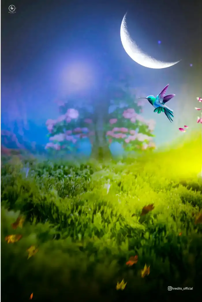 Photo Editing Butterfly Flying Over A Field Of Flowers Moon Background