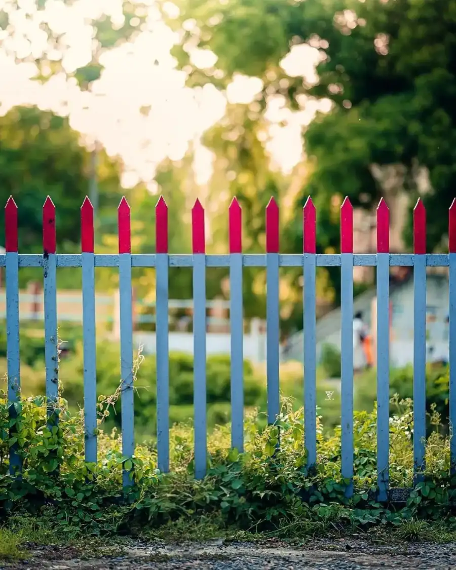 Photo Editing Fence With A Blue And Red Picket Fence Background