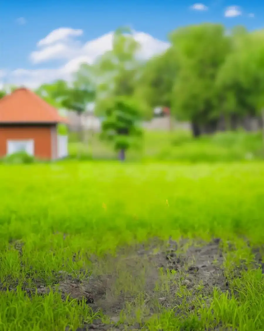 Photo Editing Grassy Field With A Building In The Background