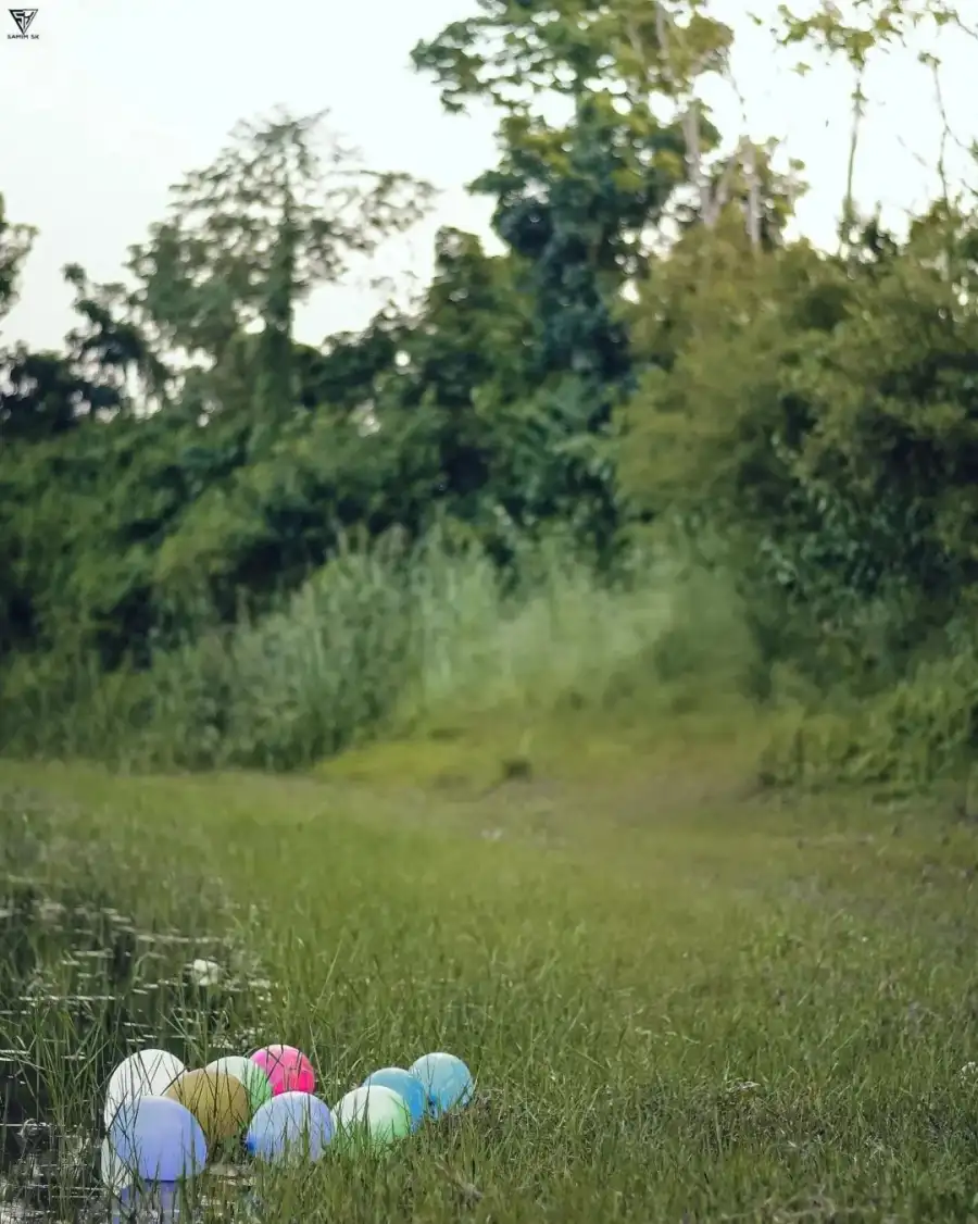 Photo Editing Group Of Balloons In A Grassy Field Background