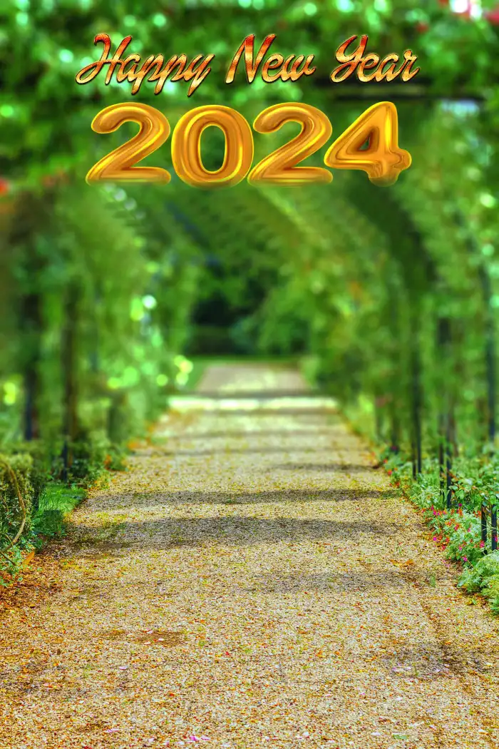 Photo Editing Happy New Year 2024 Path With Trees On Either Side Background