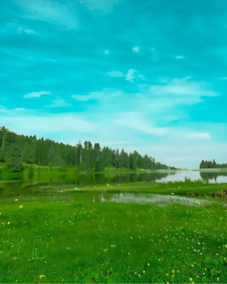 Photo Editing Lake Surrounded By Trees Background