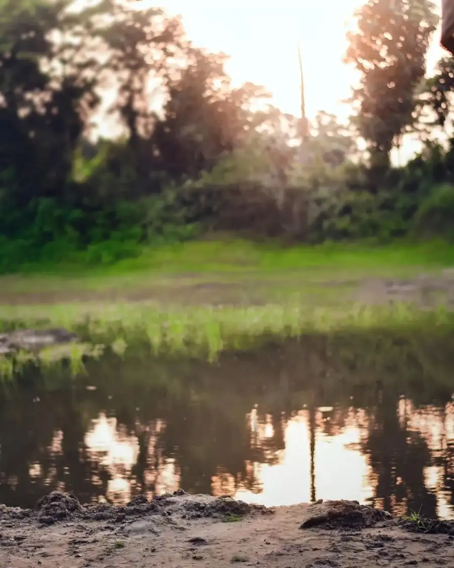 Photo Editing Pond With Grass And Trees Around It Background