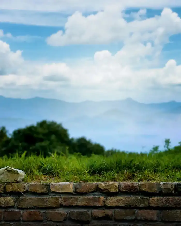 Photo Editing Stone Wall With Grass And Trees In The Background