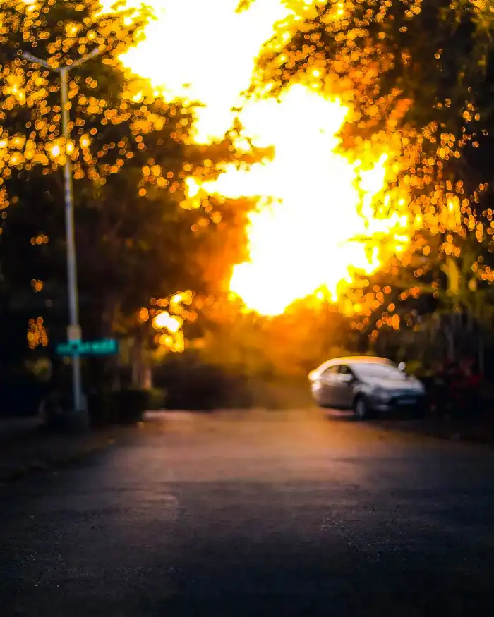 Photo Editing Street With Trees On The Side Background