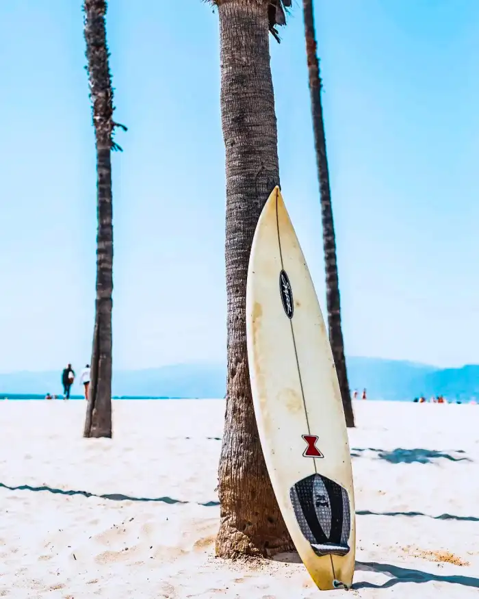 Photo Editing Surfboard Leaning Against A Tree Background