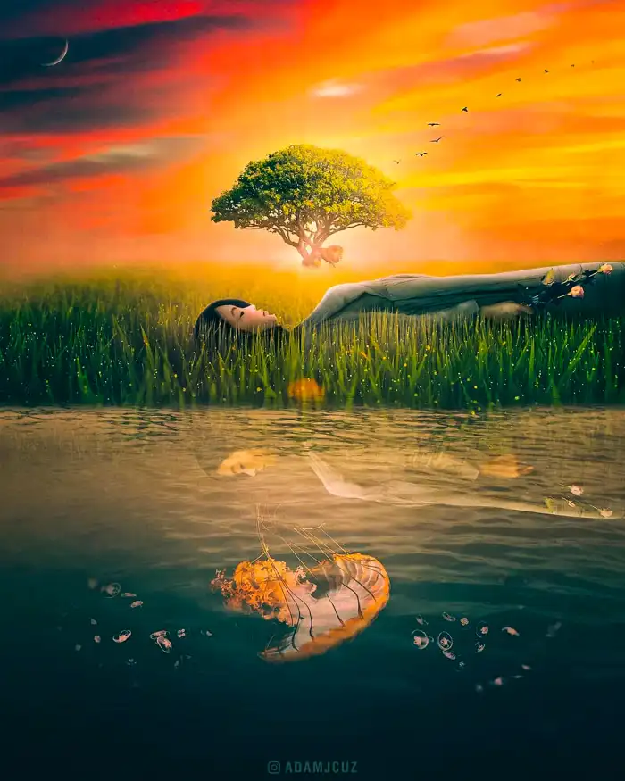 Photo Editing Tree In A Body Of Water Nature Background