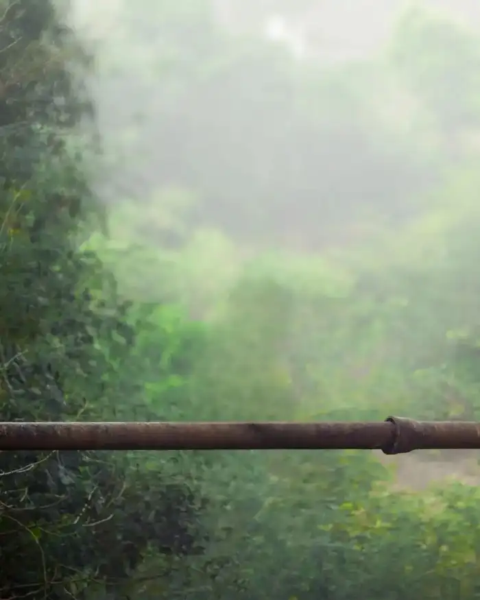 Photo Editing View Of A Forest From A Balcony Background