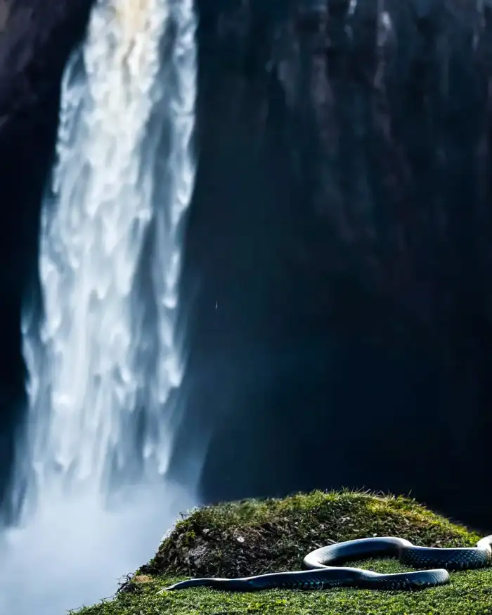 Photo Editing Waterfall With A Rock In Front Of It Background