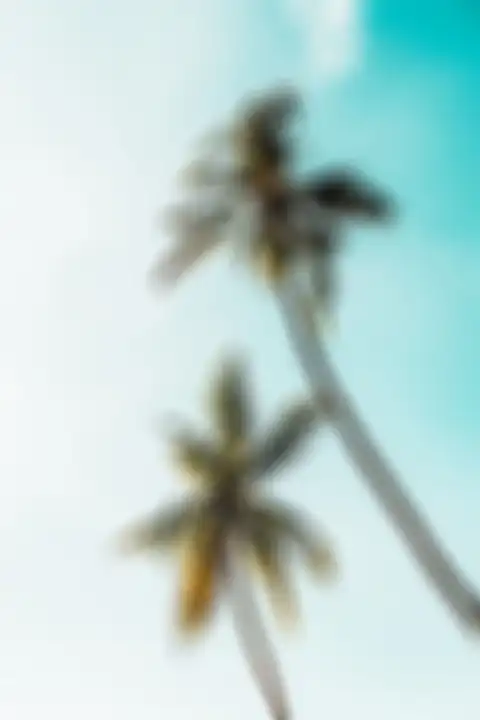 Picsart Bllue SKy Palm Tree Background HD Donwload