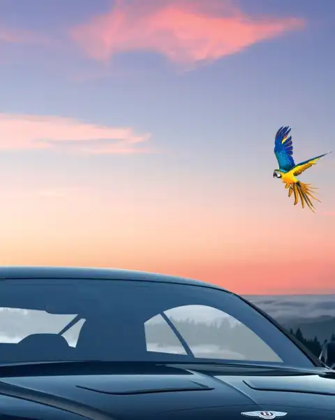 Picsart Car With Flying Birds Background Full HD Download