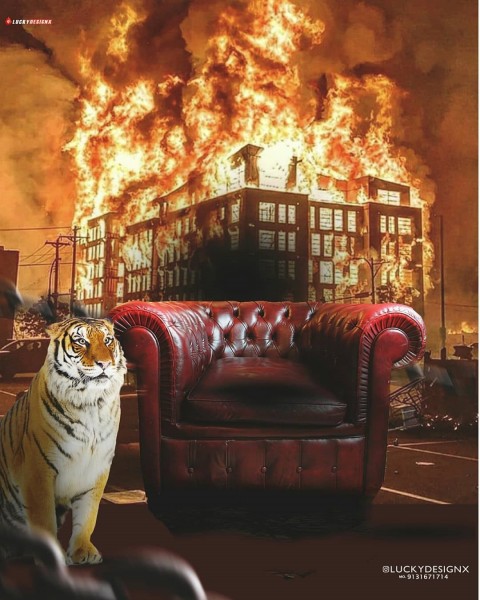 Picsart Chair With Tiger Photo Editing Background