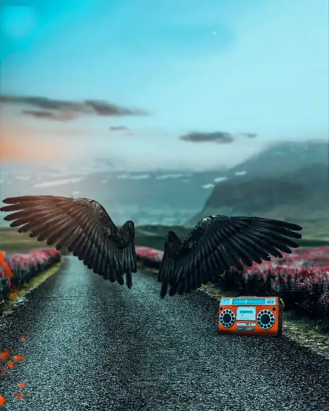 Picsart Devil Black Wings Road Background Full HD Download