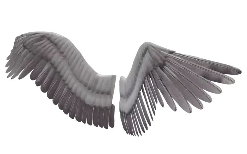 Picsart Devil Wings PNG Images Download