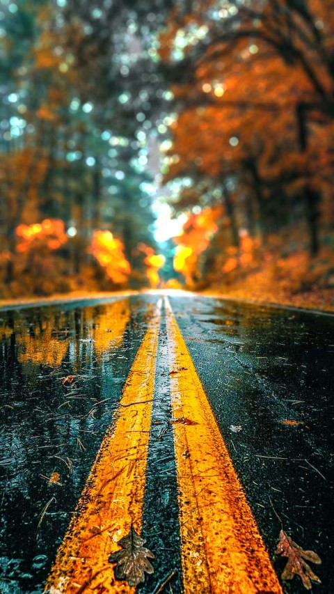 Picsart Editing Nature Road Background HD Download