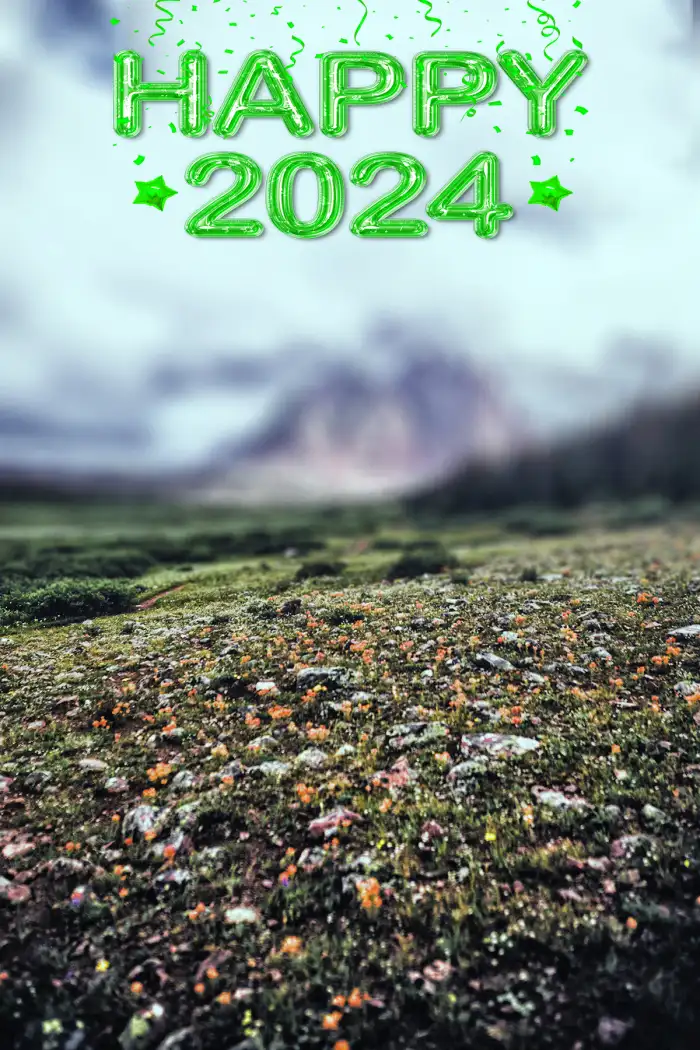 Picsart Field Happy New Year 2024 Field Of Flowers (1) Background