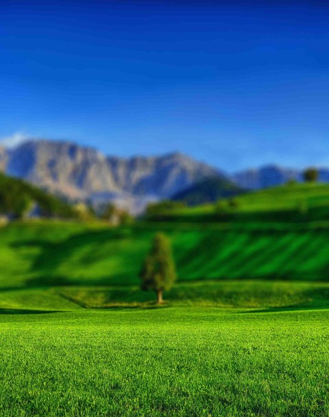 Picsart Grass Editing Background Full HD Download