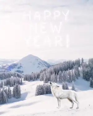 Picsart Happy New Year 2023 Wolf Winter Background