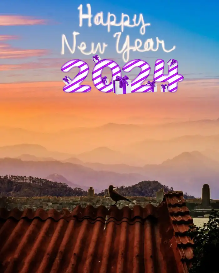 Picsart Happy New Year 2024 Bird On A Roof HD  Background