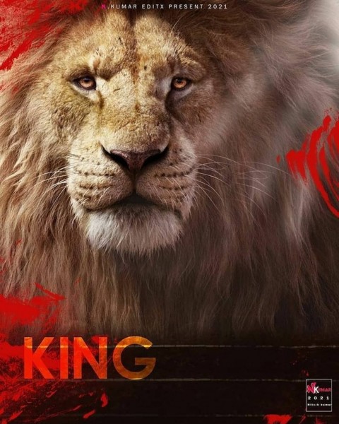 PicsArt King Lion Photo Editing Background