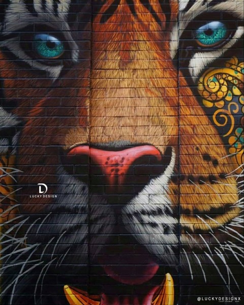 Picsart Tiger Face Wall Photo Editing Background